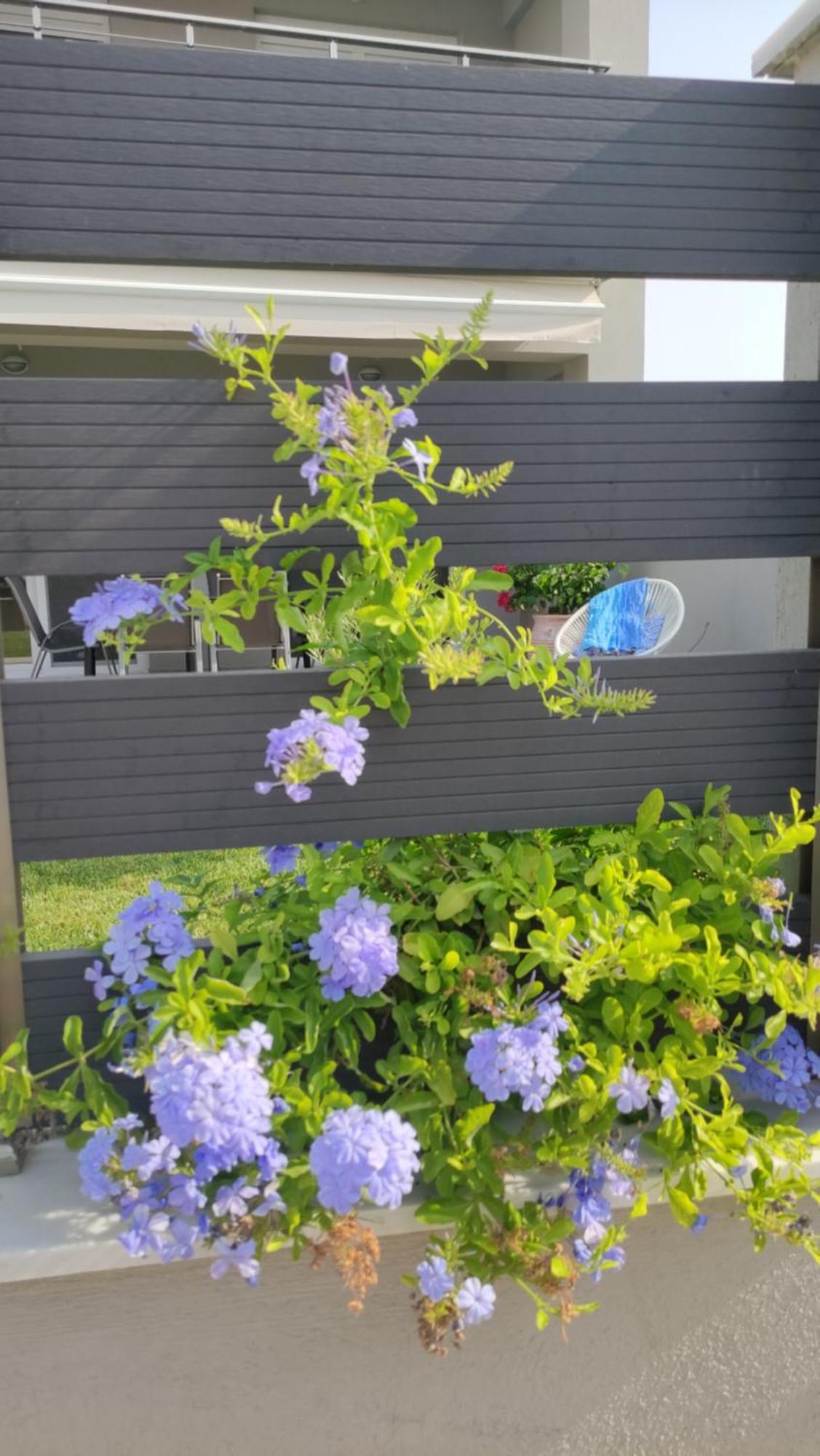 To Helidoni Apartment & Gardens Nikiti  Exteriör bild